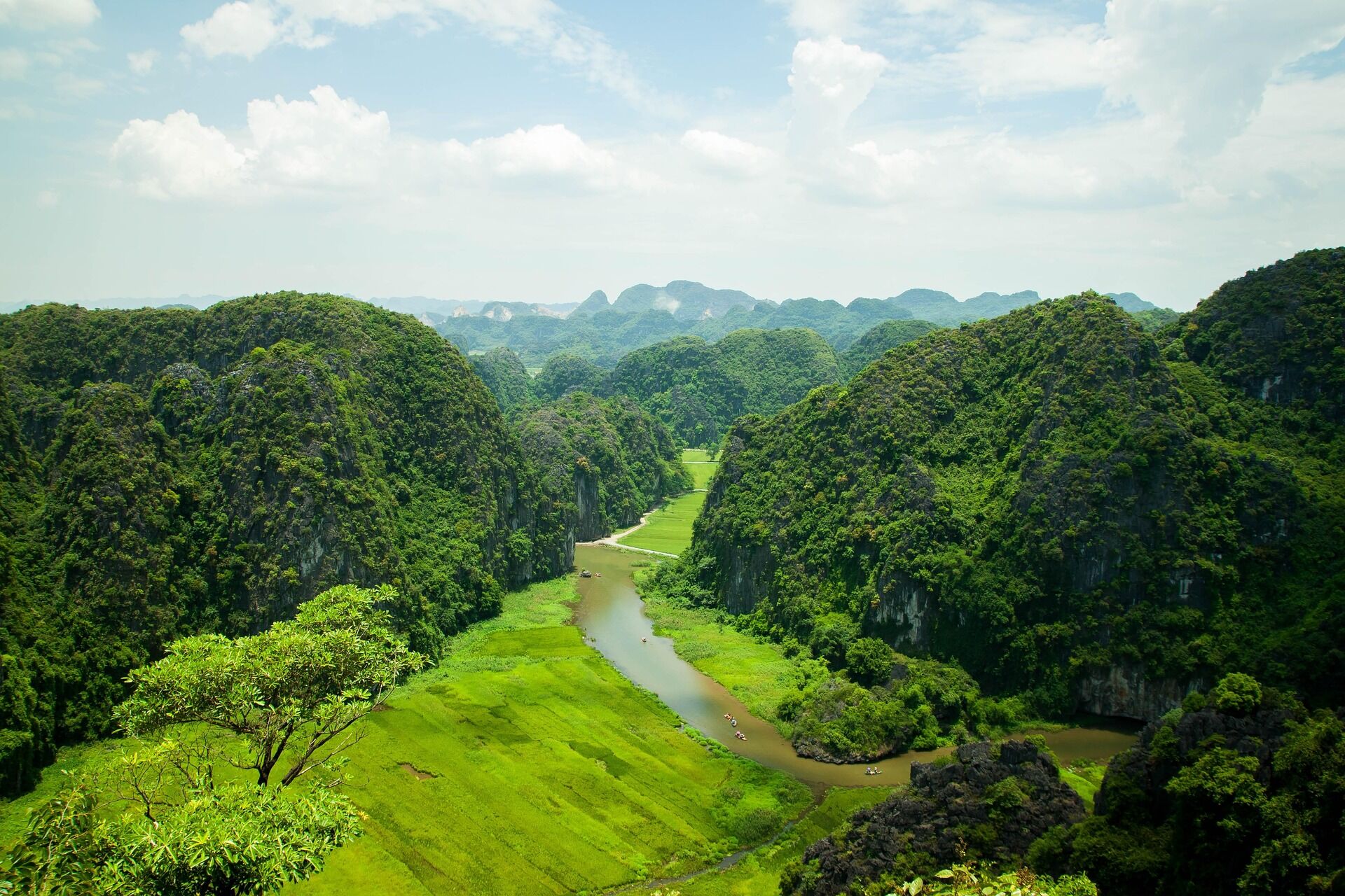 Embrace the vibrant energy of Tam Coc’s cultural heritage
